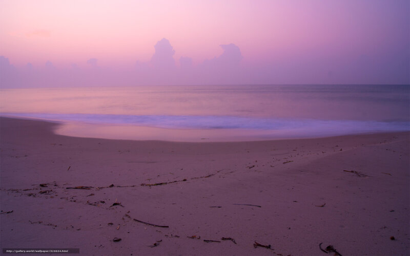 Purple sunset at the beach