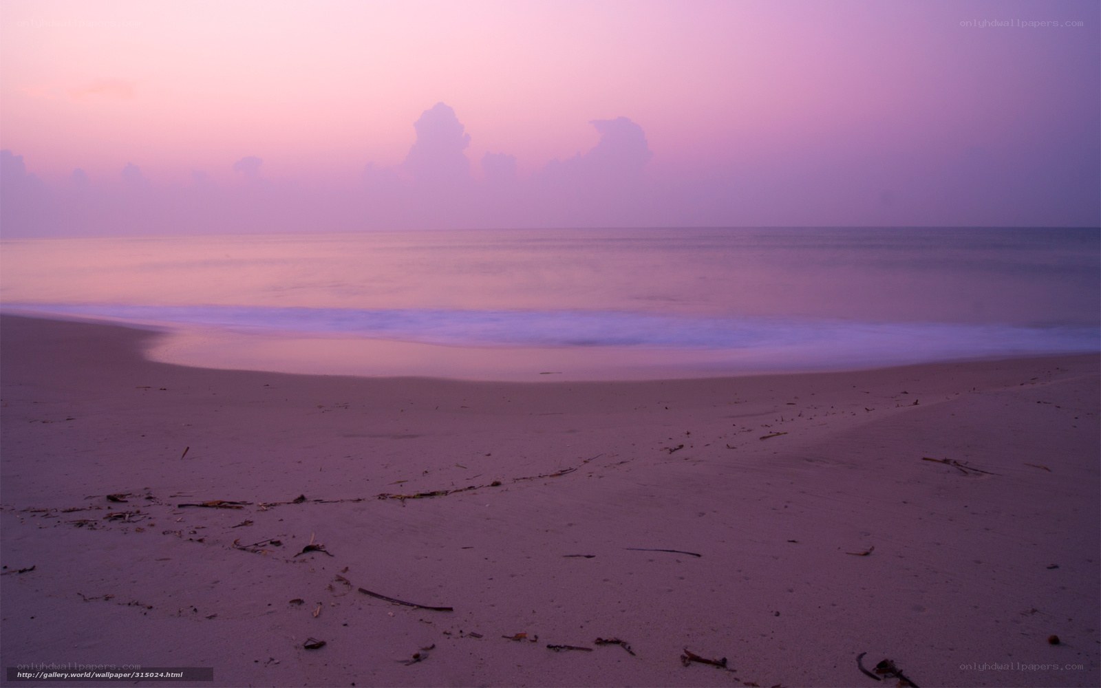 Purple sunset at the beach
