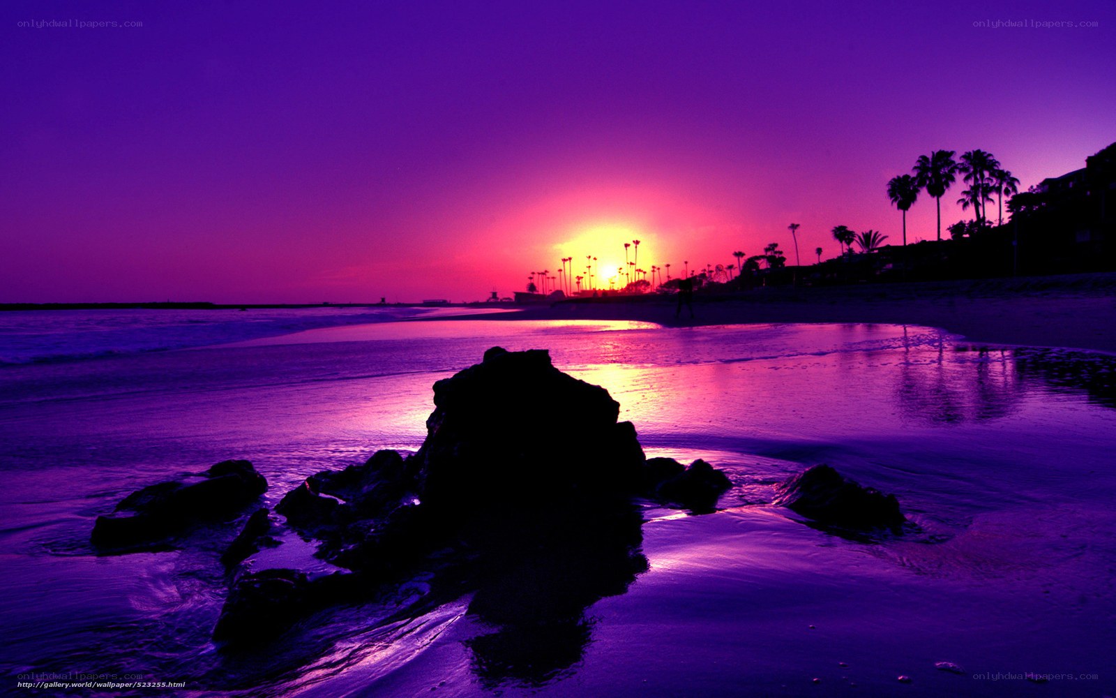 purple sunset at the beach