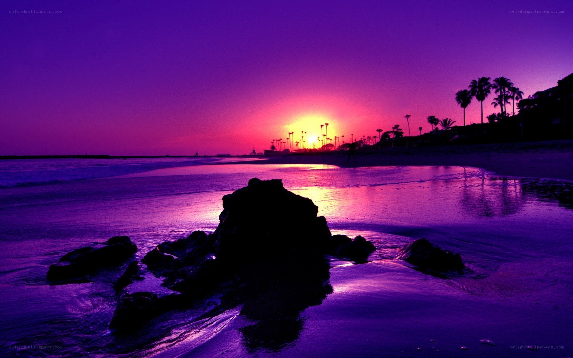 Purple sunset at the beach