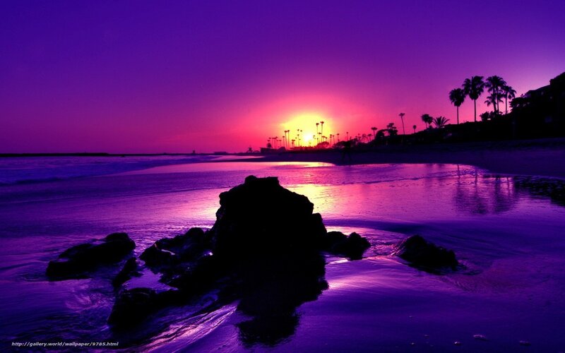 purple sunset at the beach