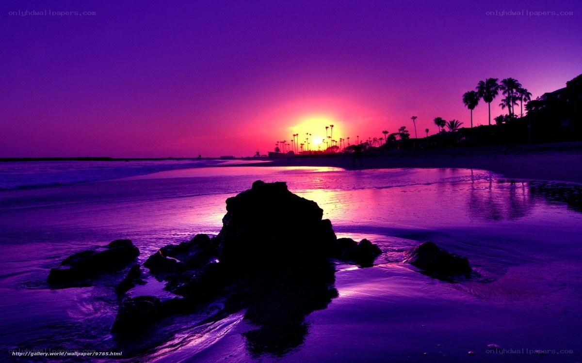 purple sunset at the beach