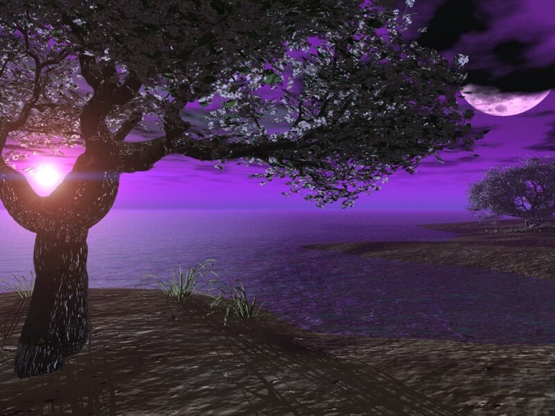 Purple sunset by the sea