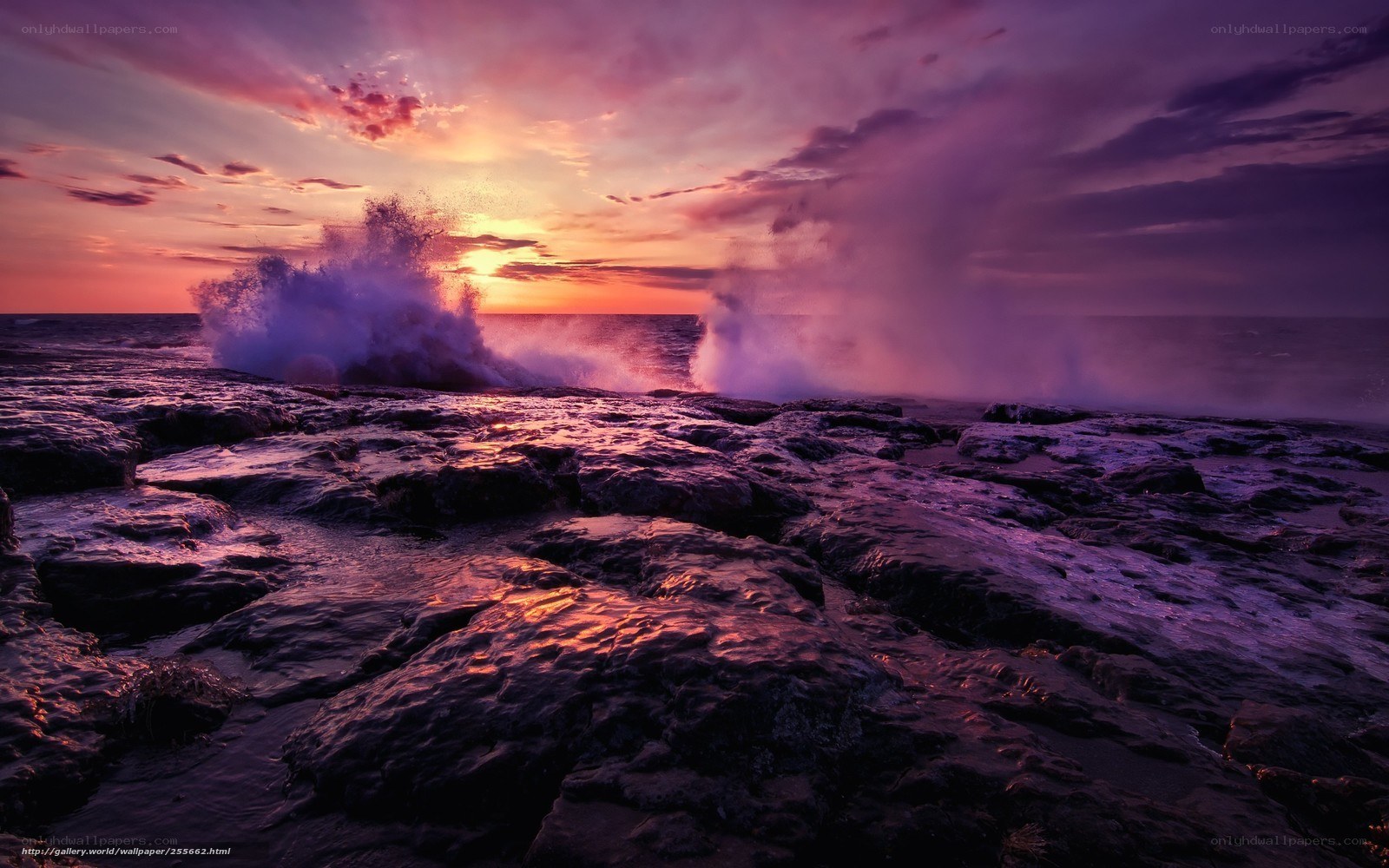 Purple Sunset on Rocky Shore