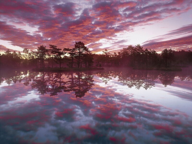 Purple sunset over a calm lake