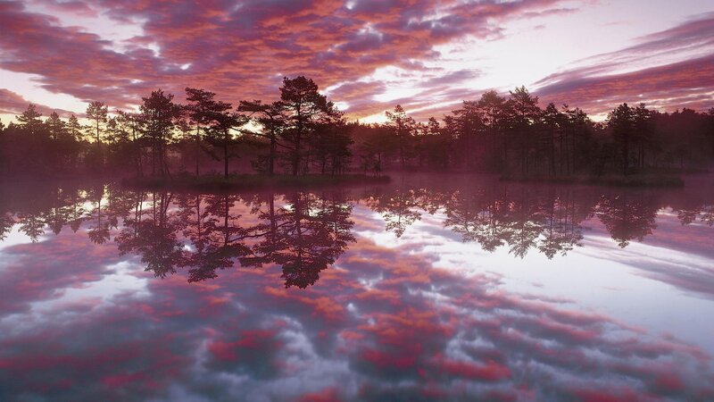 Purple sunset over a calm lake