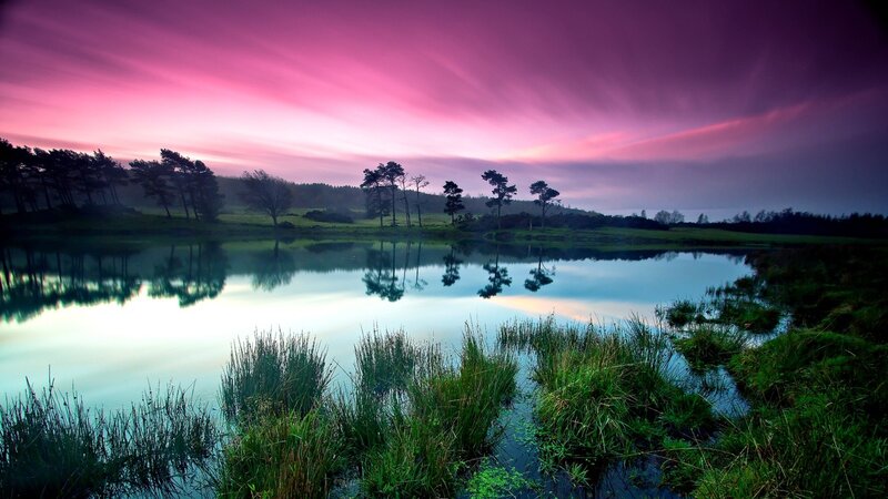 Purple sunset over a calm lake