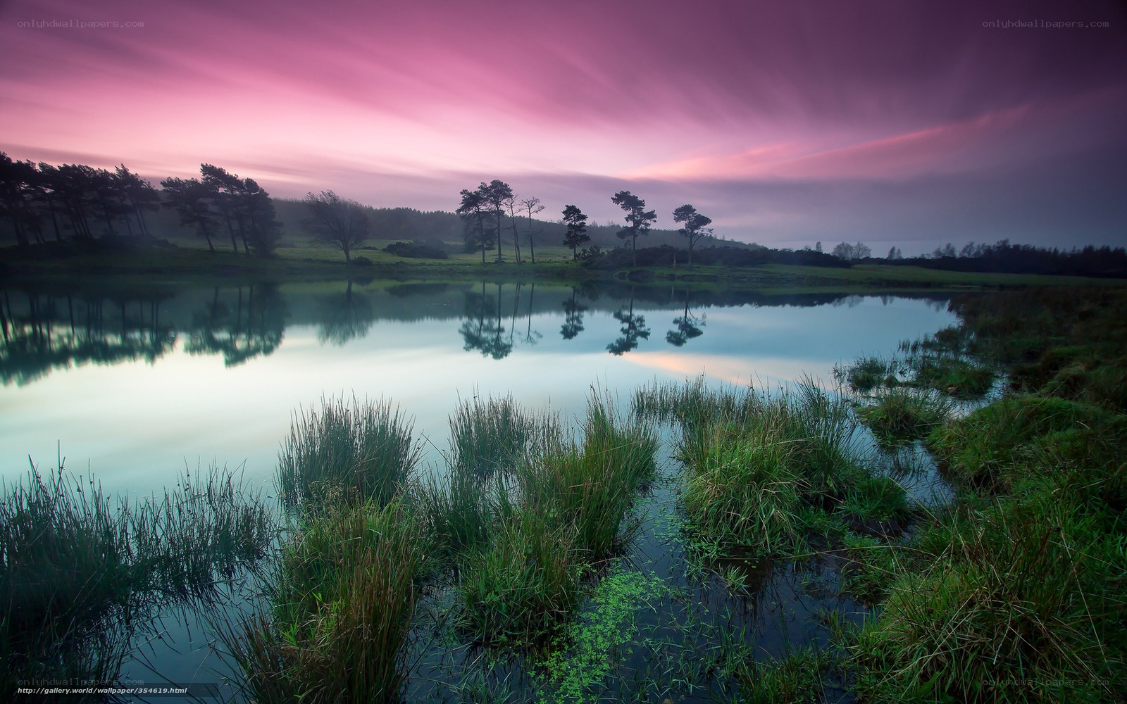 Purple sunset over a calm lake