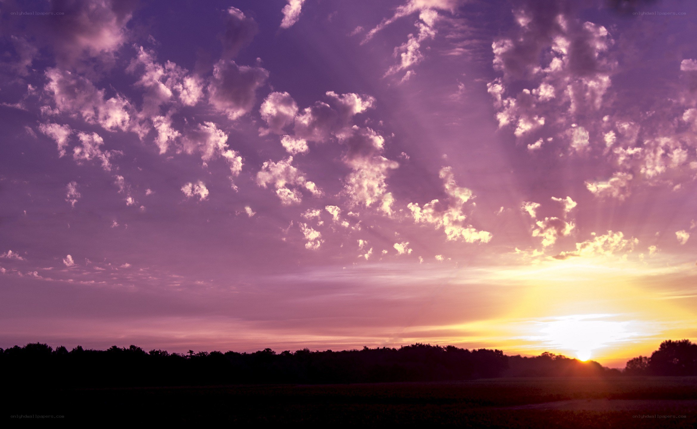 Purple sunset over a field
