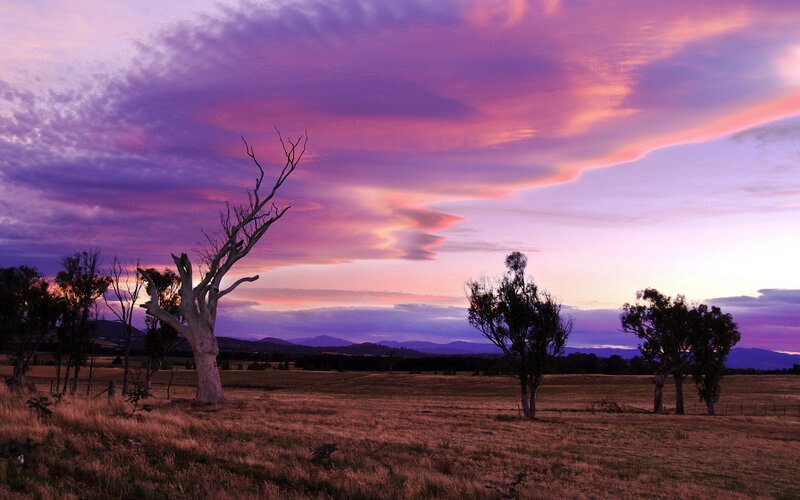 Purple sunset over a field