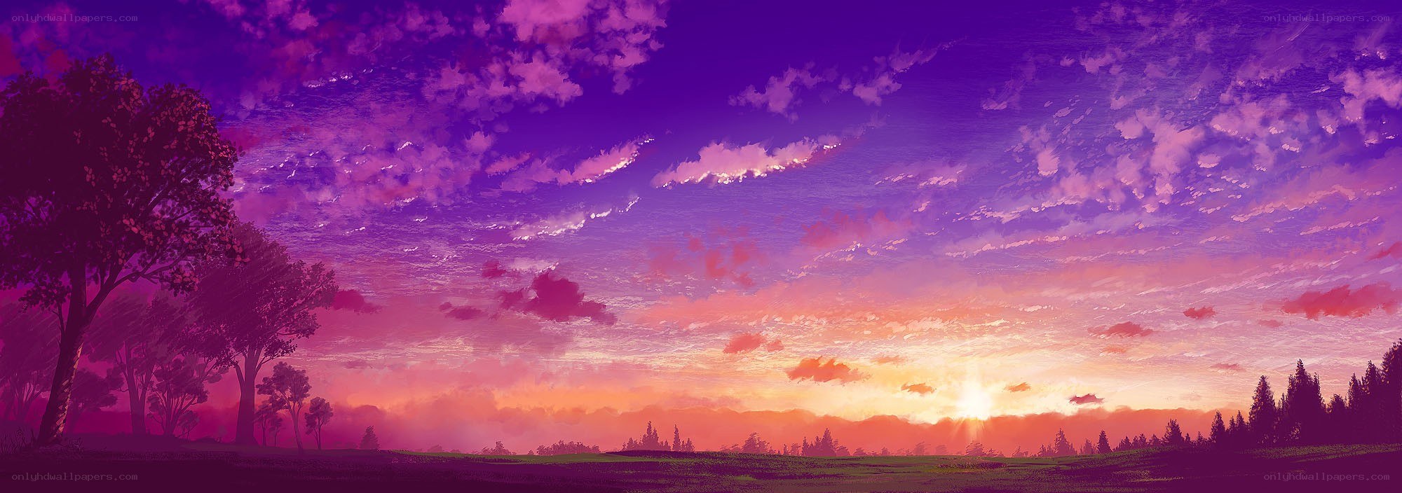 Purple sunset over a field