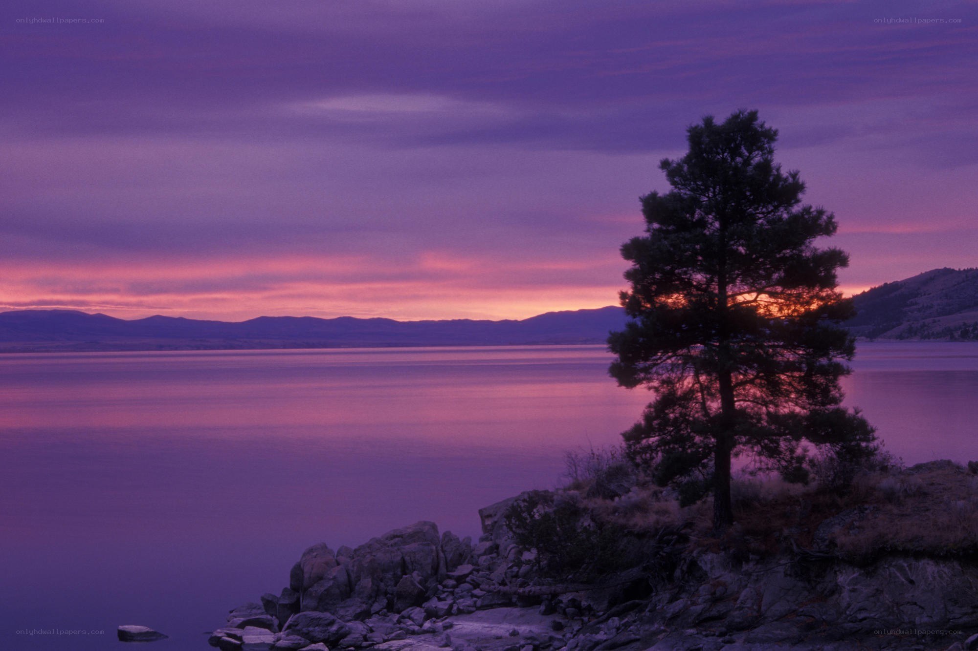 Purple sunset over a lake