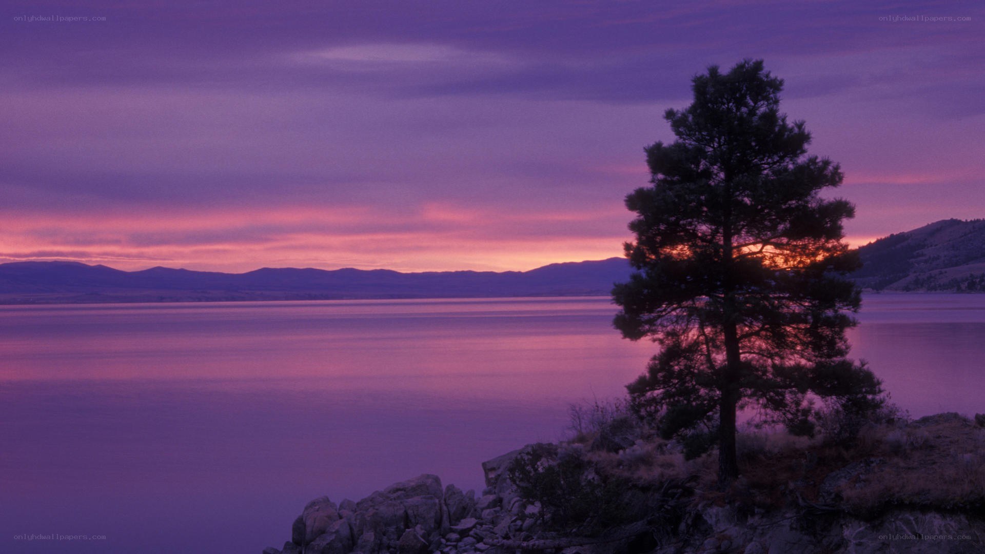 Purple sunset over a lake