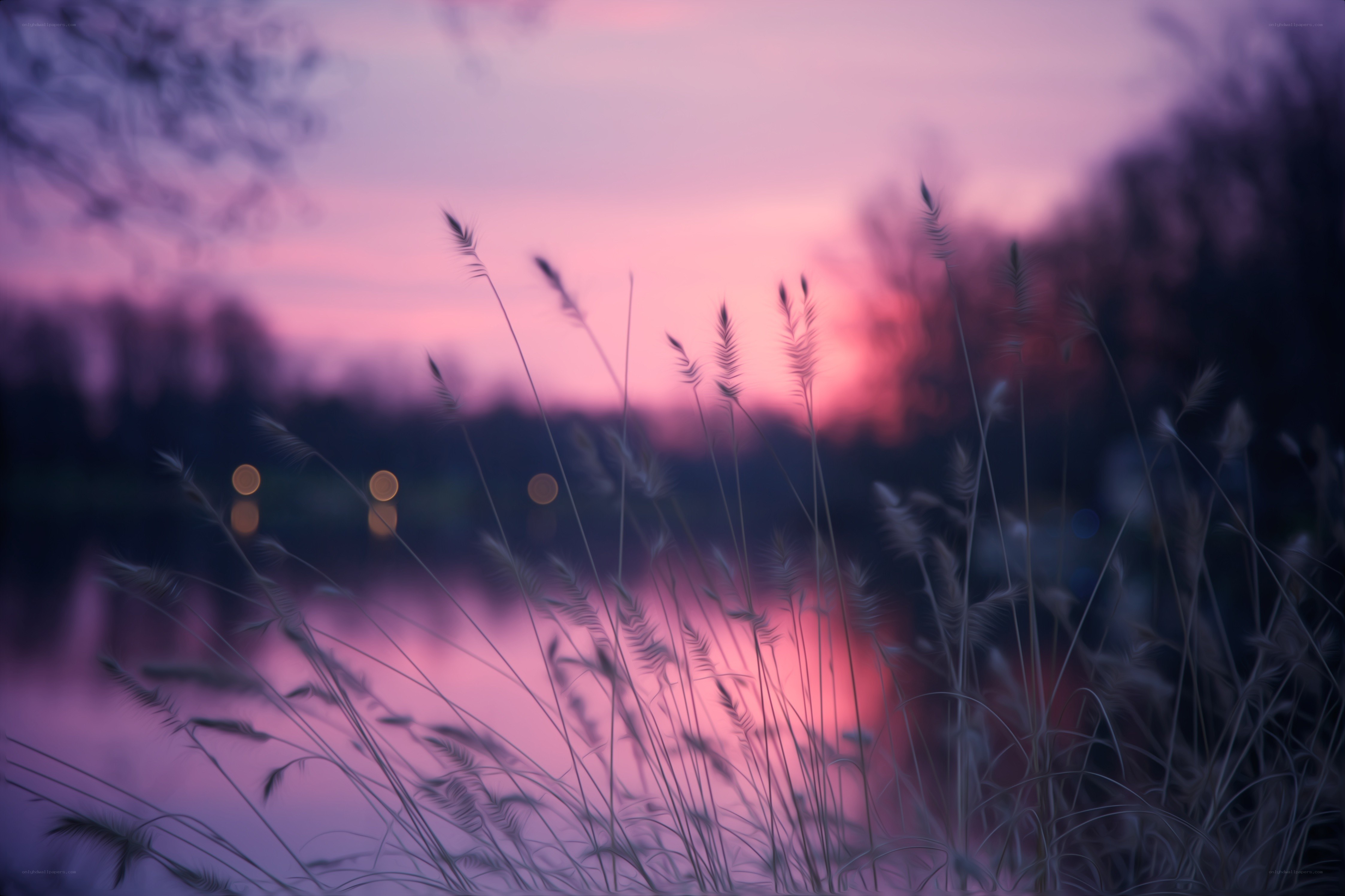 Purple sunset over a lake