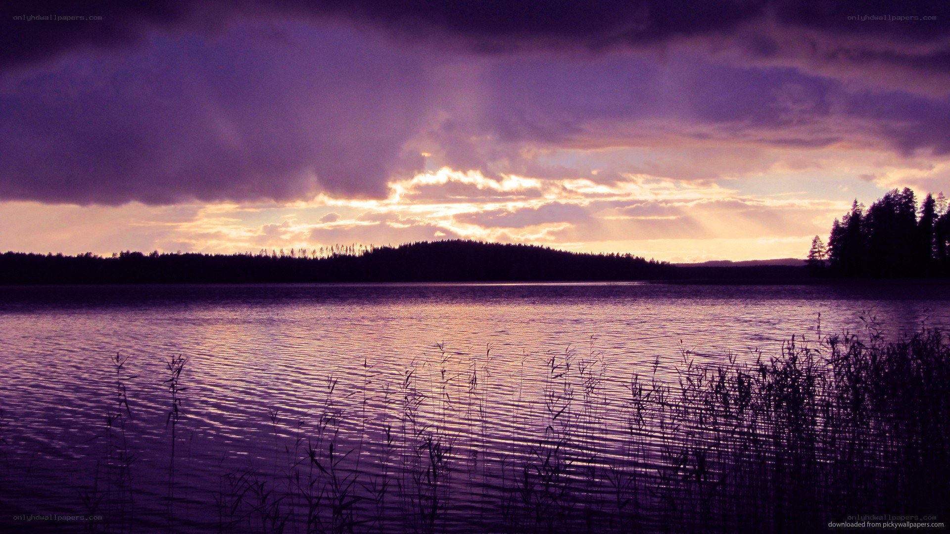 purple sunset over a lake