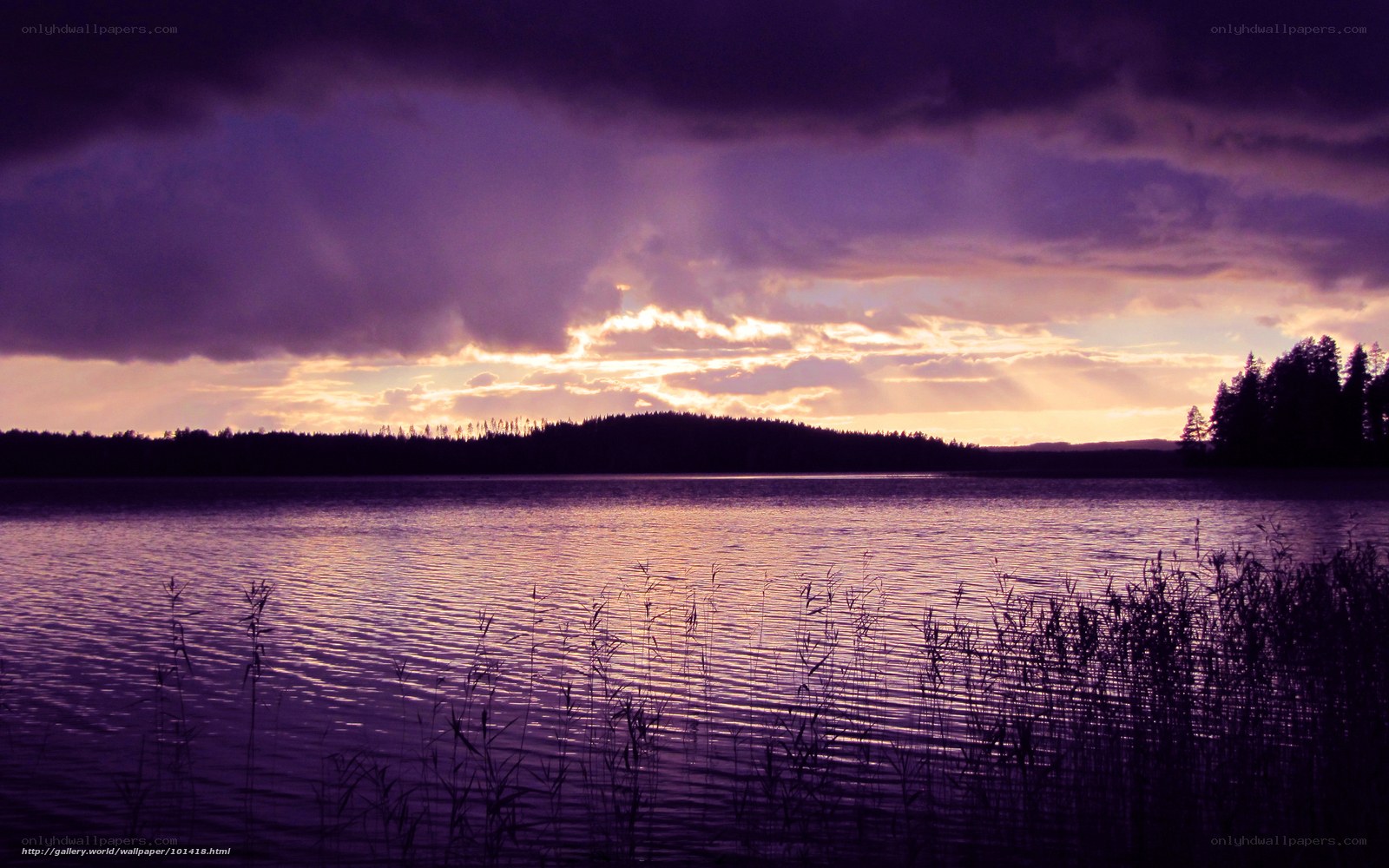 Purple sunset over a lake