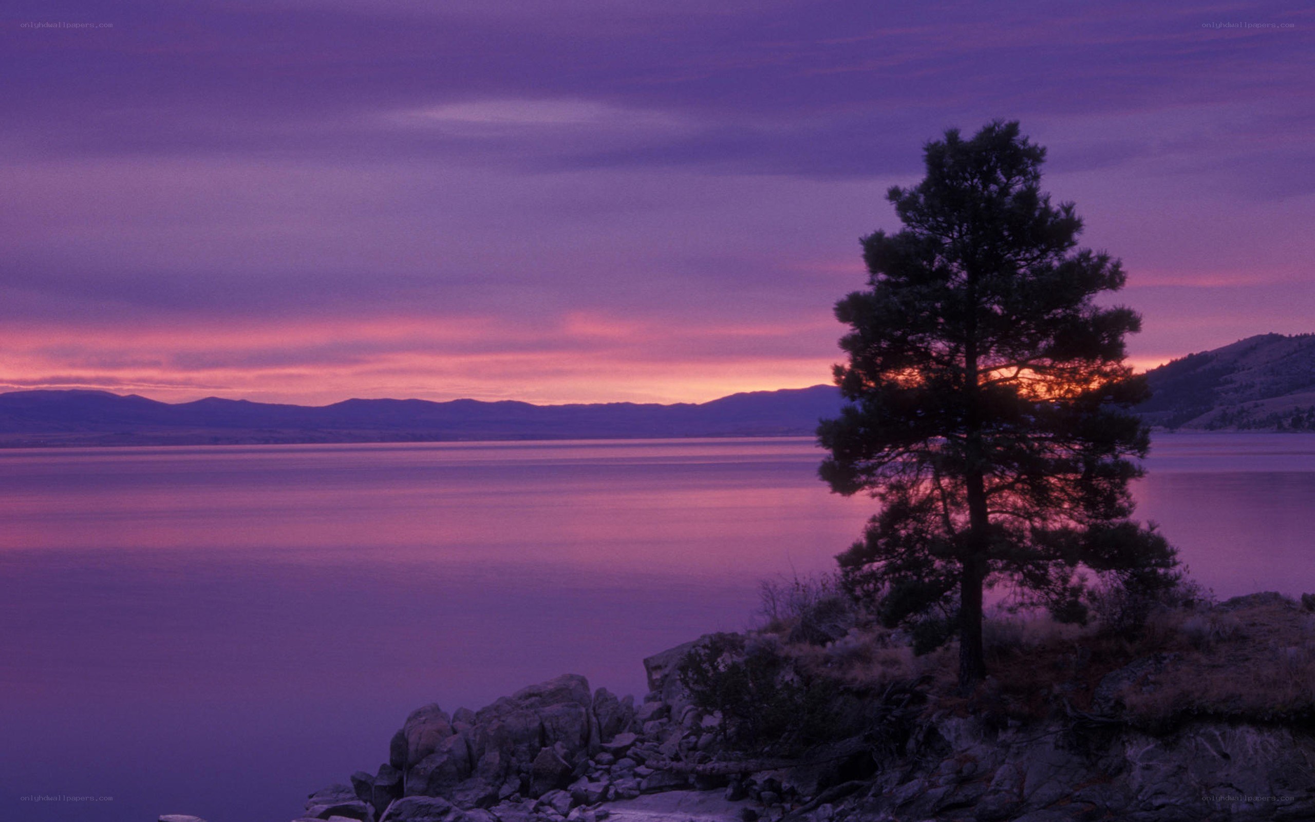 Purple sunset over a lake
