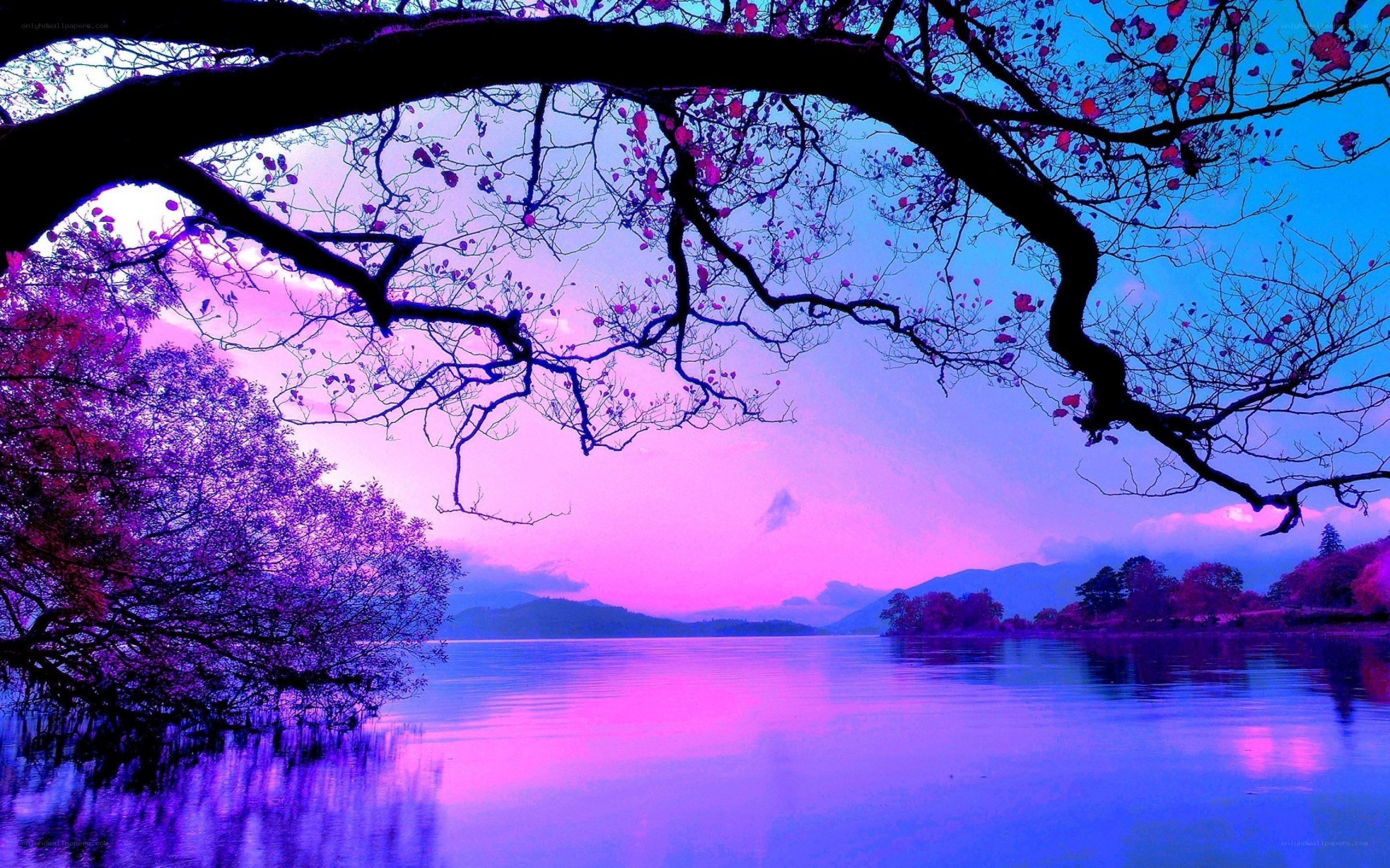 Purple sunset over a lake