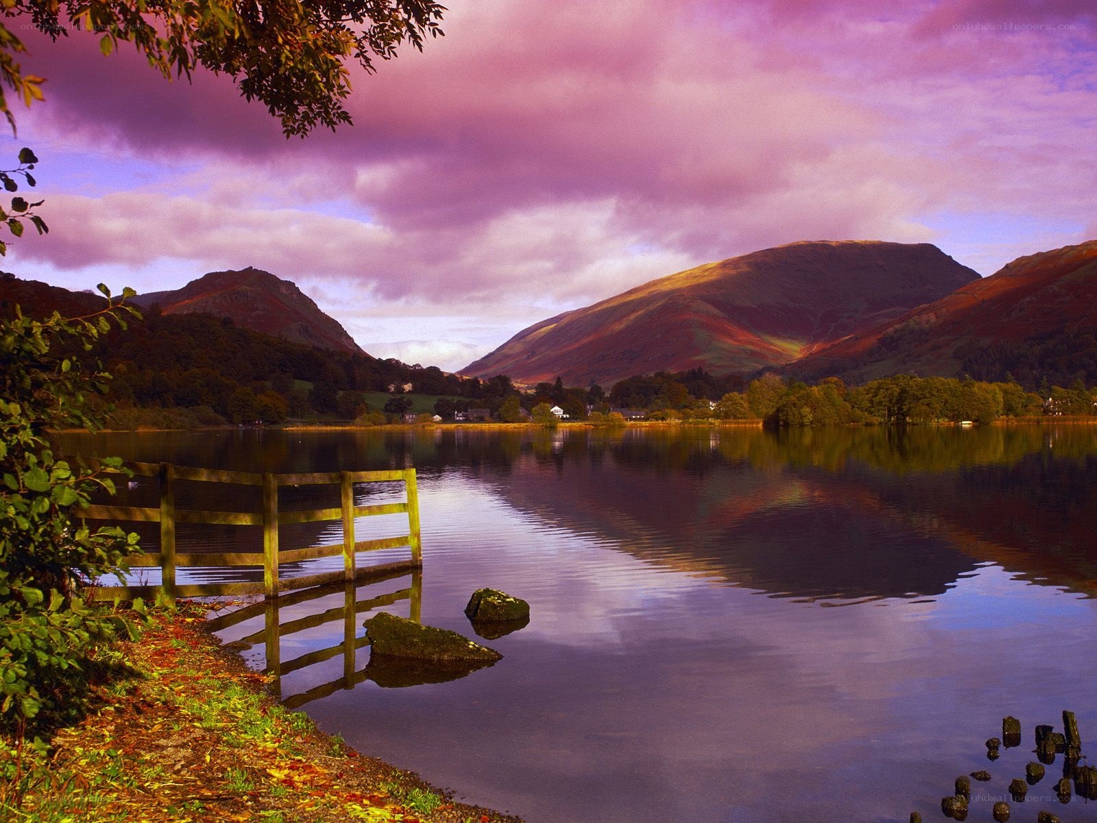Purple sunset over a lake