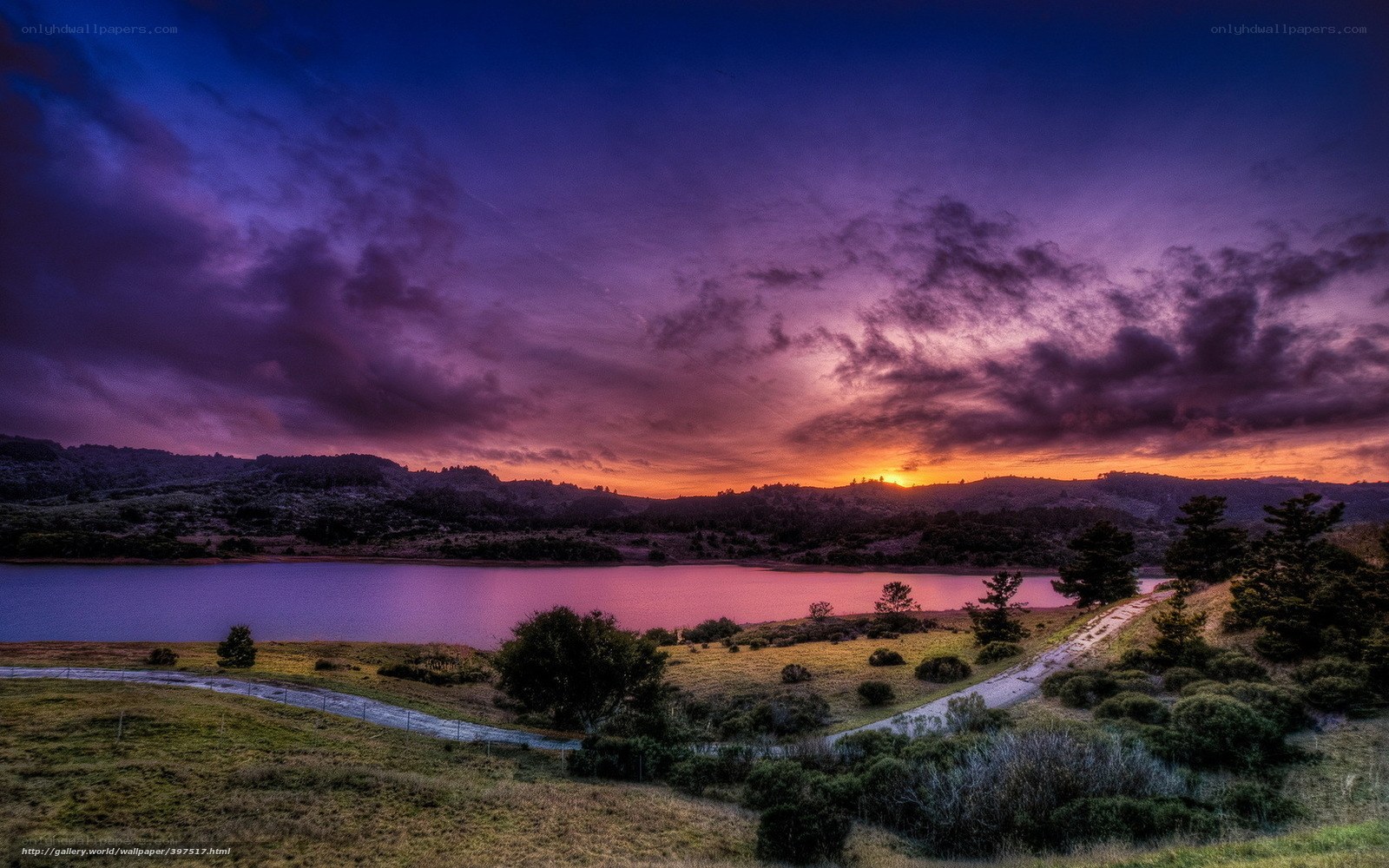 Purple sunset over a lake