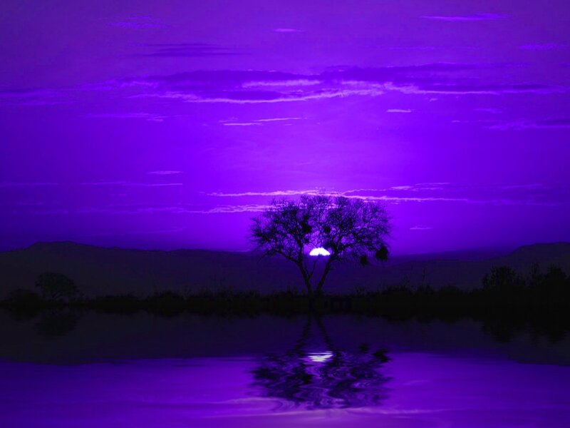 Purple sunset over a lone tree