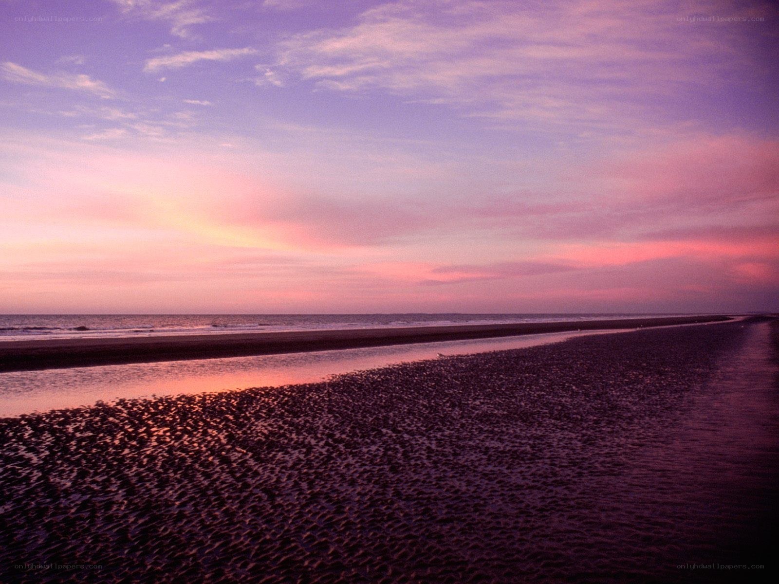 Purple sunset over beach
