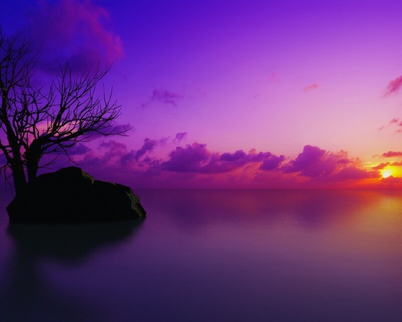 Purple sunset over calm sea