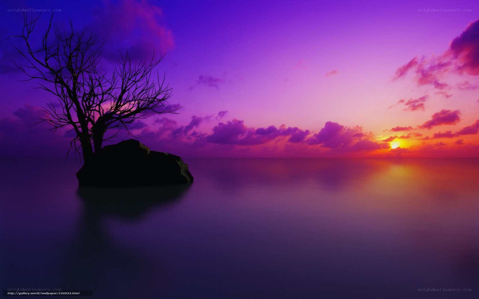 Purple sunset over calm sea