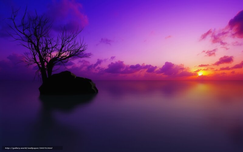 Purple sunset over calm sea