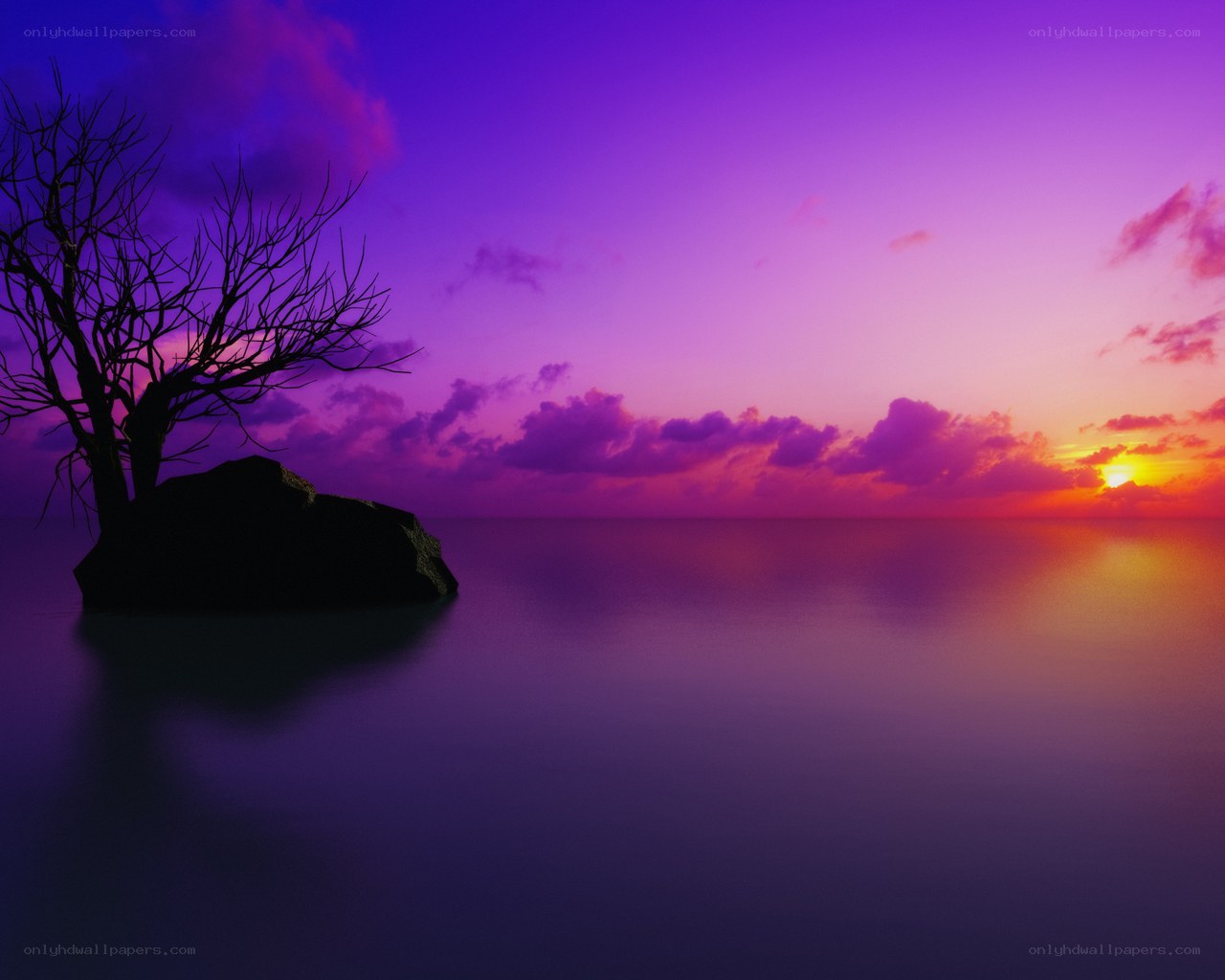Purple sunset over calm water