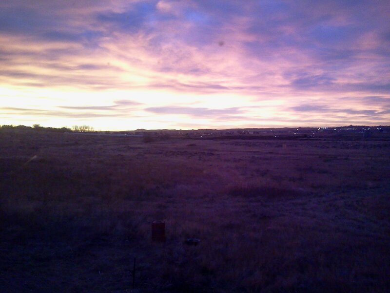 purple sunset over field
