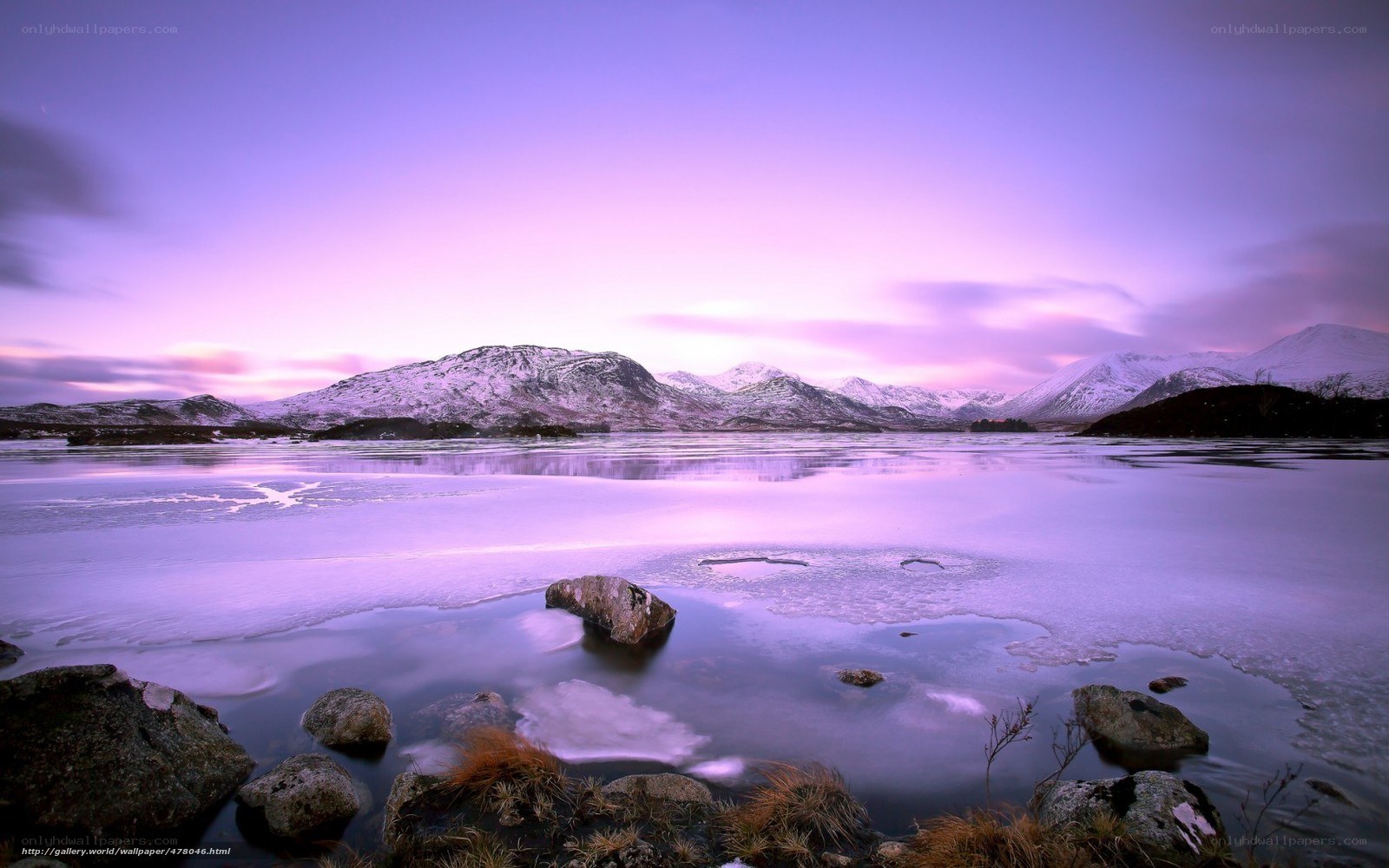 Purple sunset over frozen lake