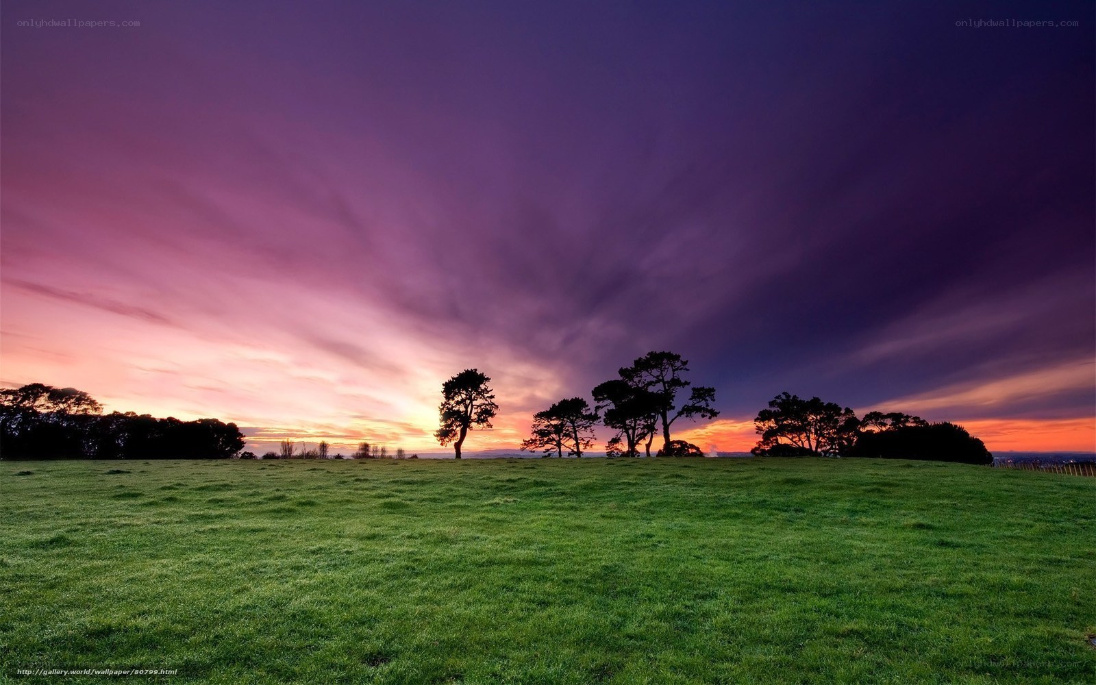 Purple sunset over green field