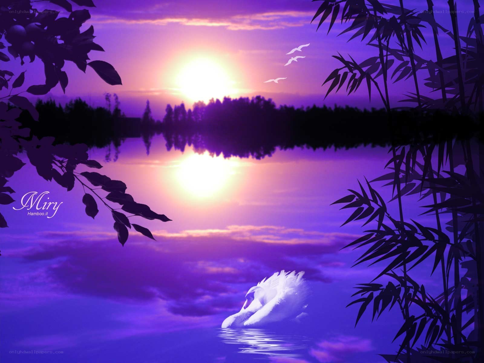 Purple sunset over lake