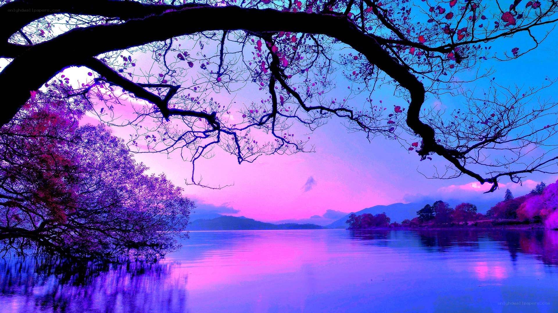 purple sunset over lake