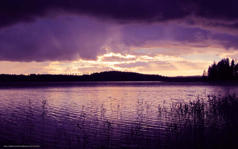 Purple Sunset over Lake — Dramatic, Photograph, Clouds, Trees, Reeds