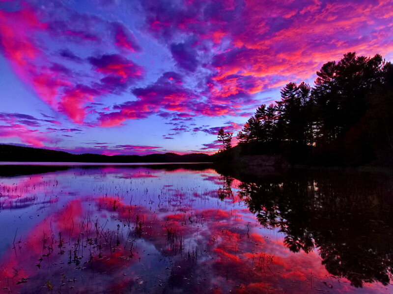 Purple Sunset over Lake — Dramatic, Photograph, Sky, Trees