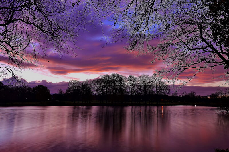 Purple Sunset over Lake — Dramatic, Photograph, Trees, Sky