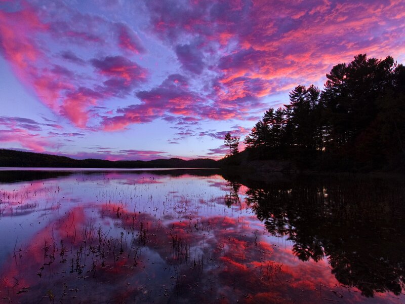 Purple Sunset over Lake — Pink