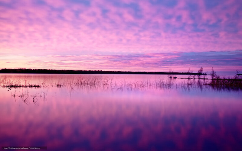 Purple Sunset over Lake — Serene, Photograph, Sky, Water