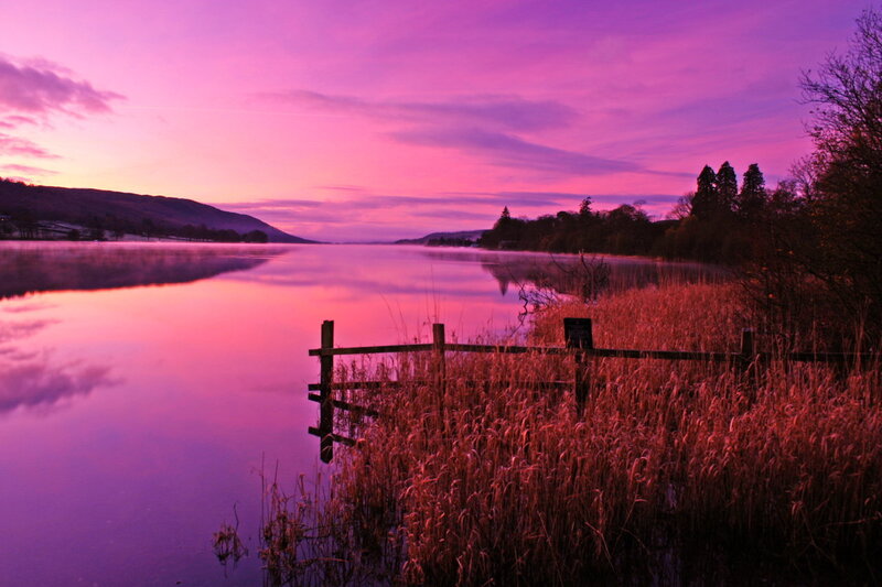 Purple Sunset over Lake — Serene, Photograph