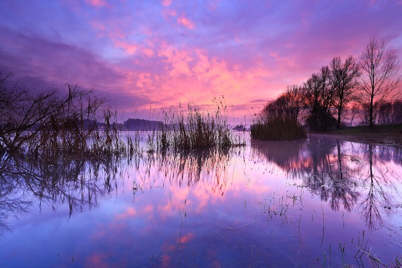 Purple Sunset over Lake — Serene, Photograph, Trees, Reeds
