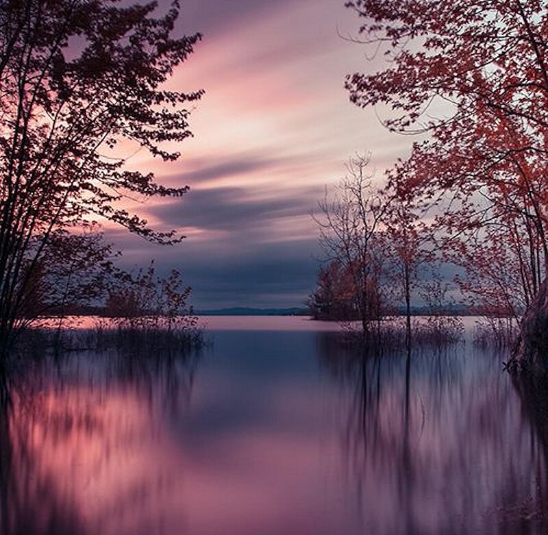 Purple Sunset over Lake — Serene, Photograph, Trees, Sky, Reflection