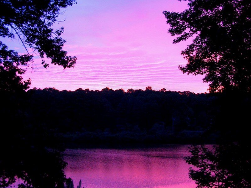 Purple Sunset over Lake — Serene, Photograph, Trees, Sky