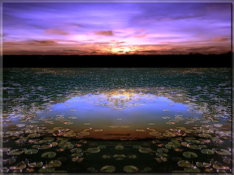 Purple sunset over lily pond