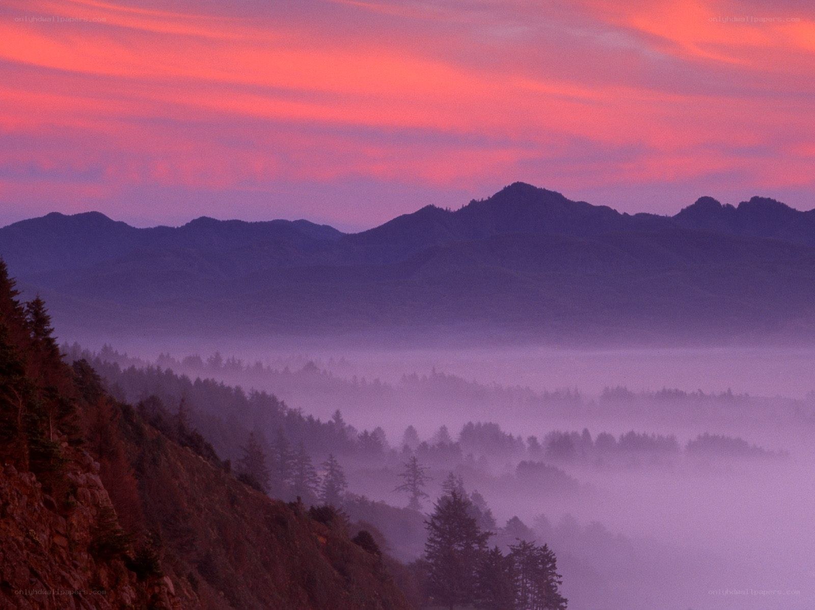Purple sunset over misty mountains