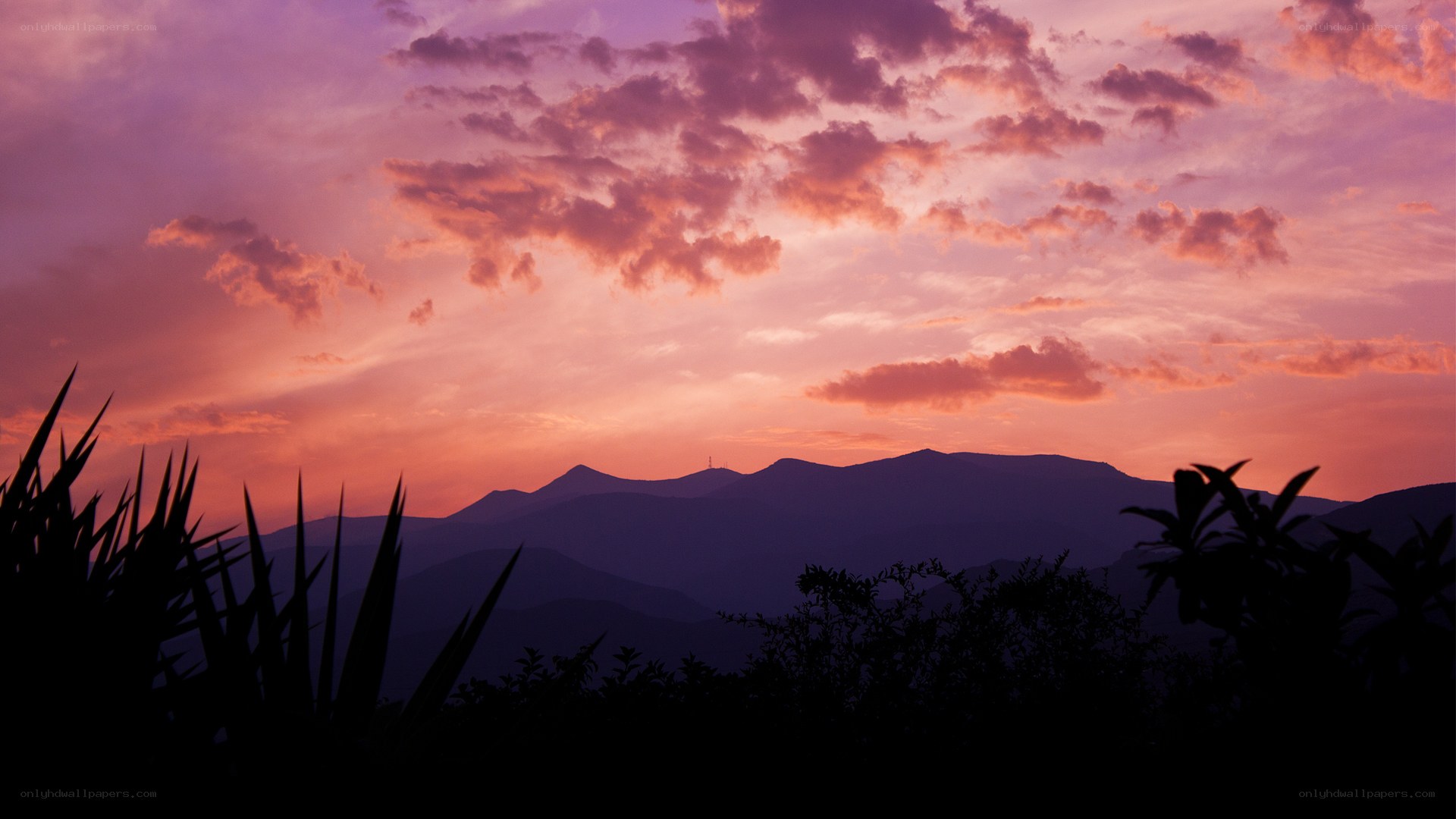 Purple sunset over mountains