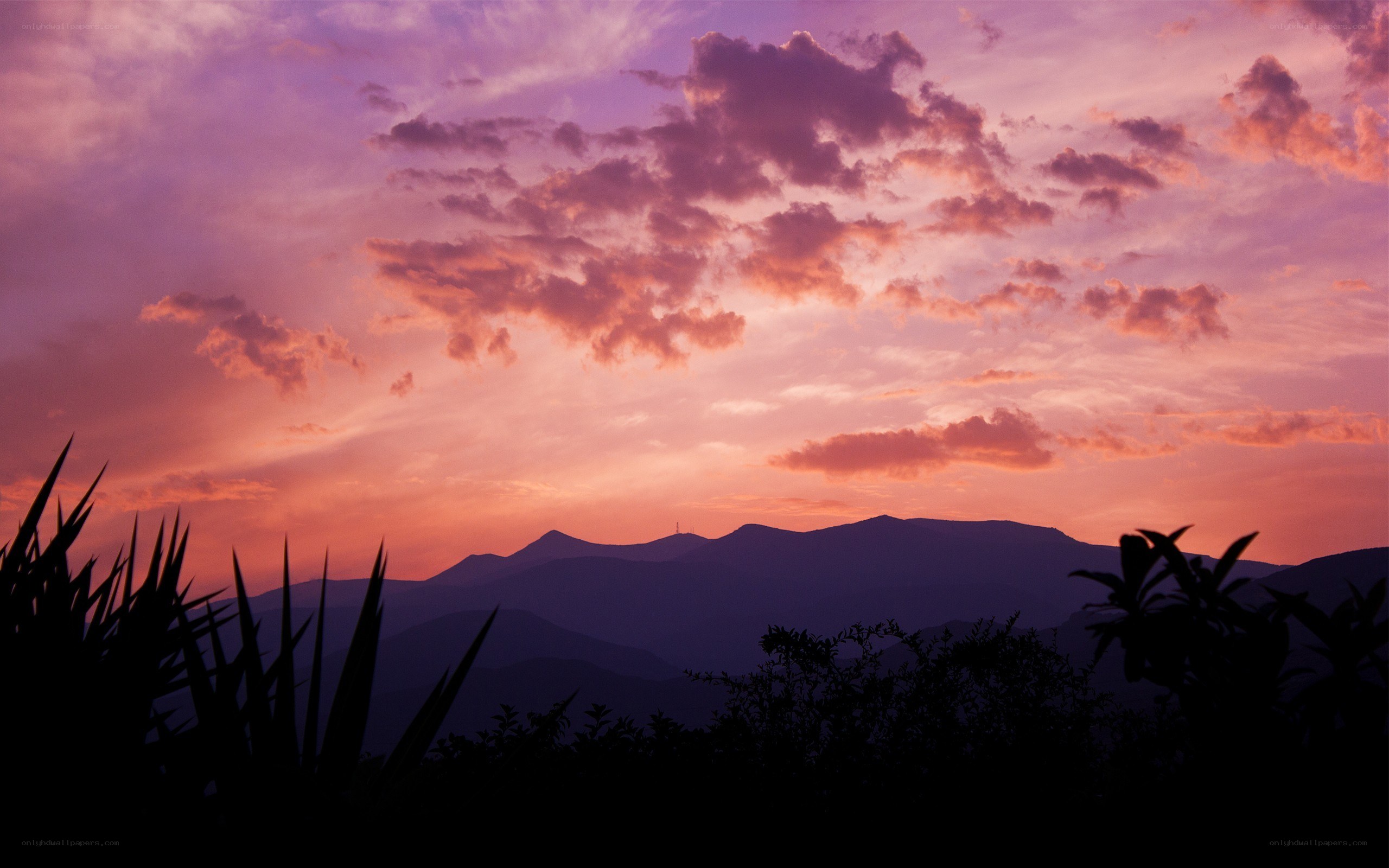 Purple sunset over mountains