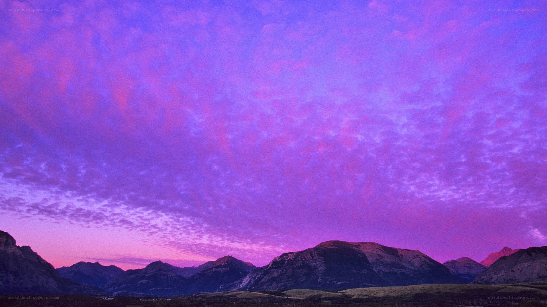 Purple sunset over mountains