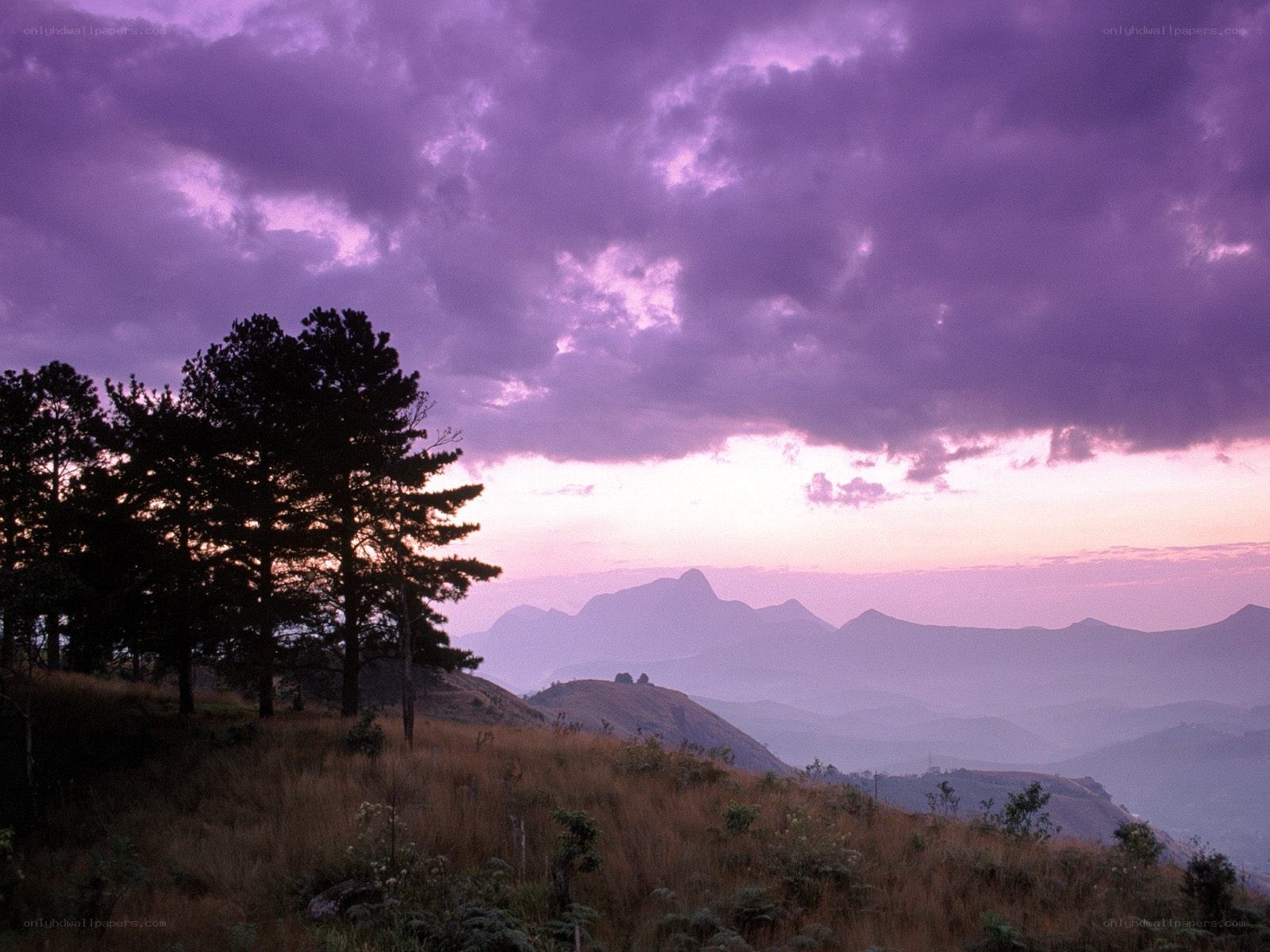 Purple sunset over mountains